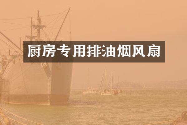 厨房专用排油烟风扇