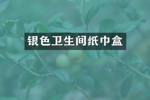 银色卫生间纸巾盒