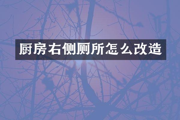 厨房右侧厕所怎么改造