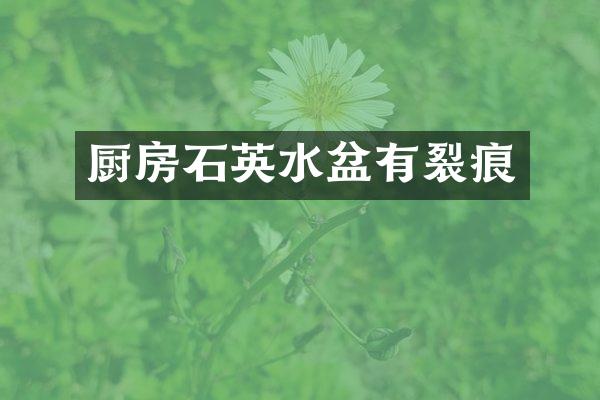 厨房石英水盆有裂痕