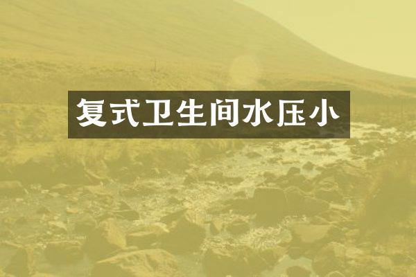 复式卫生间水压小