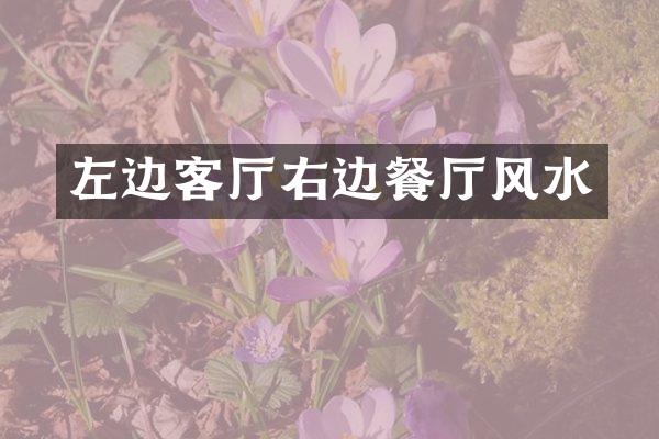 左边客厅右边餐厅风水