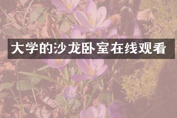 大学的沙龙卧室在线观看