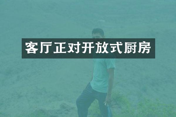 客厅正对开放式厨房
