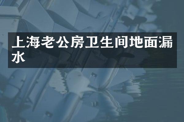 上海老公房卫生间地面漏水