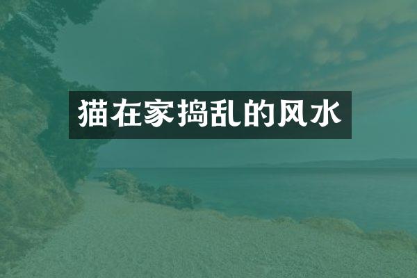 猫在家捣乱的风水