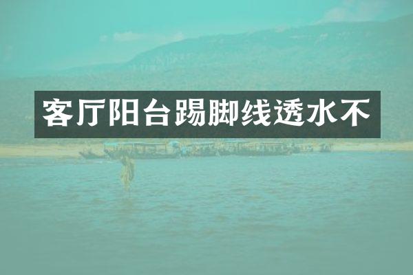 客厅阳台踢脚线透水不