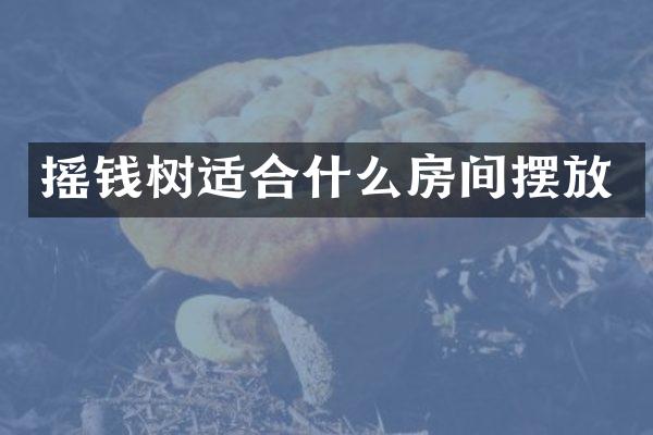 摇钱树适合什么房间摆放