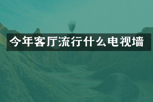 今年客厅流行什么电视墙