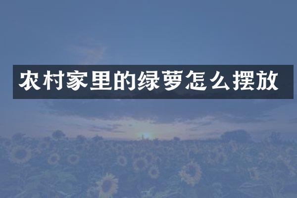 农村家里的绿萝怎么摆放