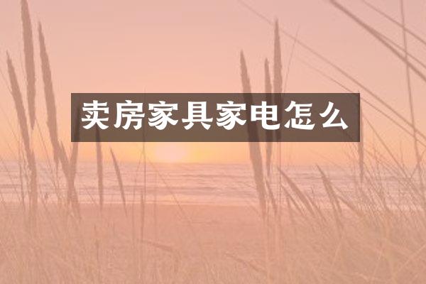 卖房家具家电怎么