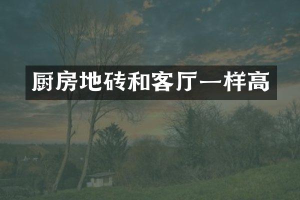 厨房地砖和客厅一样高