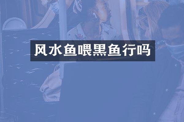风水鱼喂黑鱼行吗