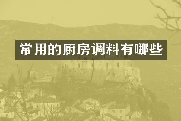 常用的厨房调料有哪些