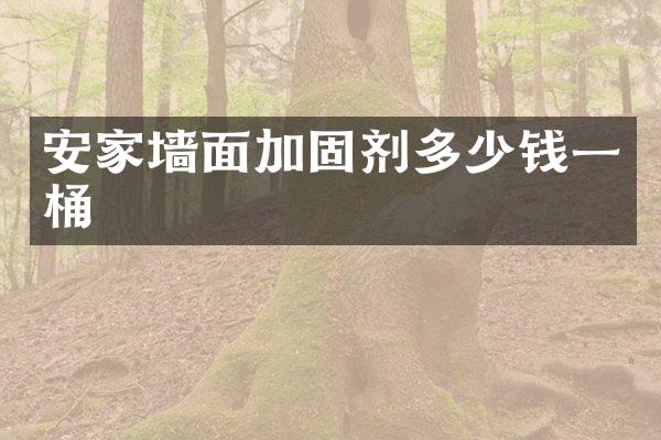 安家墙面加固剂多少钱一桶