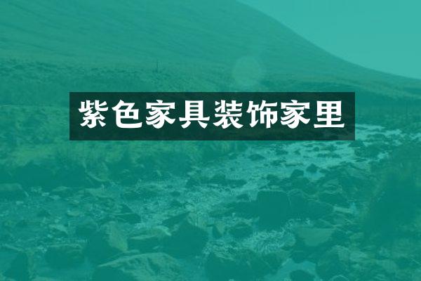 紫色家具装饰家里
