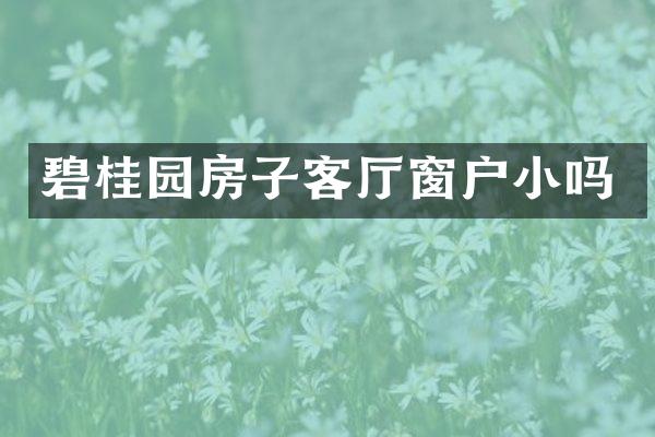 碧桂园房子客厅窗户小吗