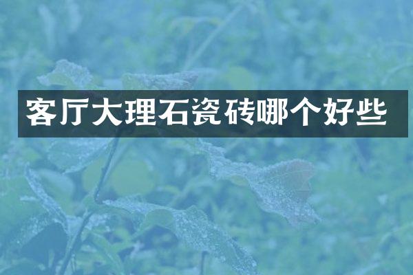 客厅大理石瓷砖哪个好些