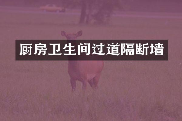 厨房卫生间过道隔断墙