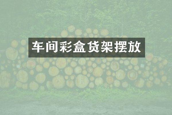 车间彩盒货架摆放