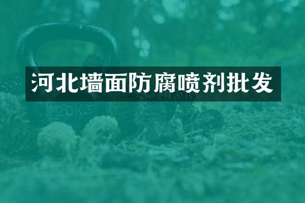 河北墙面防腐喷剂批发