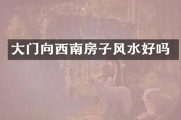 大门向西南房子风水好吗
