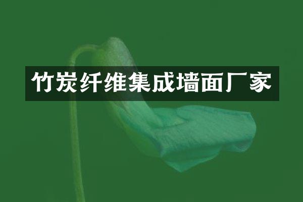 竹炭纤维集成墙面厂家