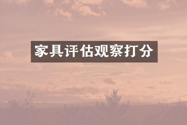 家具评估观察打分