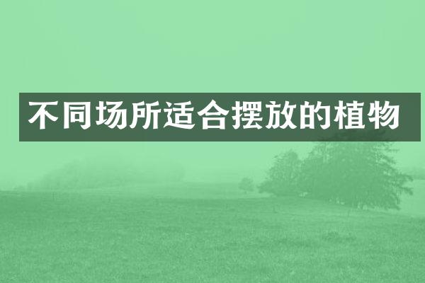 不同场所适合摆放的植物