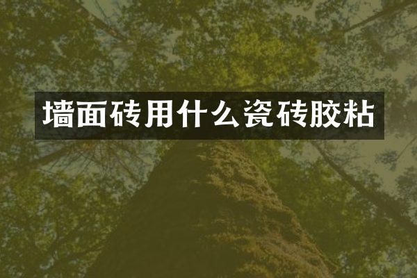 墙面砖用什么瓷砖胶粘