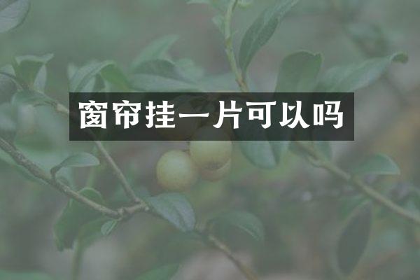 窗帘挂一片可以吗