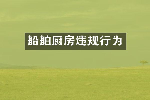 船舶厨房违规行为