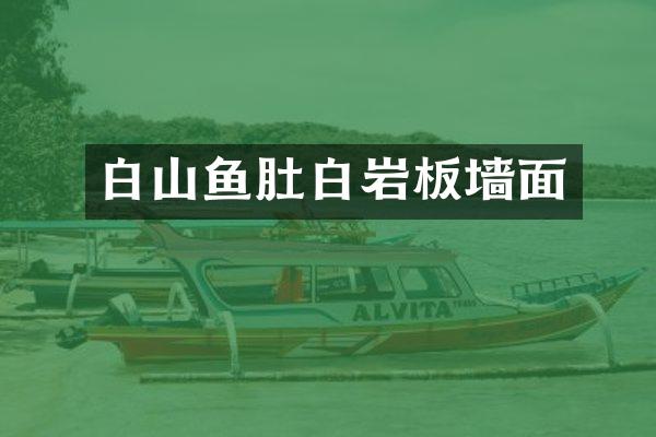 白山鱼肚白岩板墙面