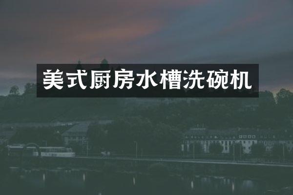 美式厨房水槽洗碗机