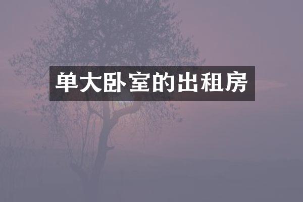 单大卧室的出租房