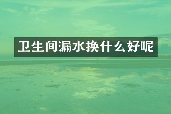 卫生间漏水换什么好呢