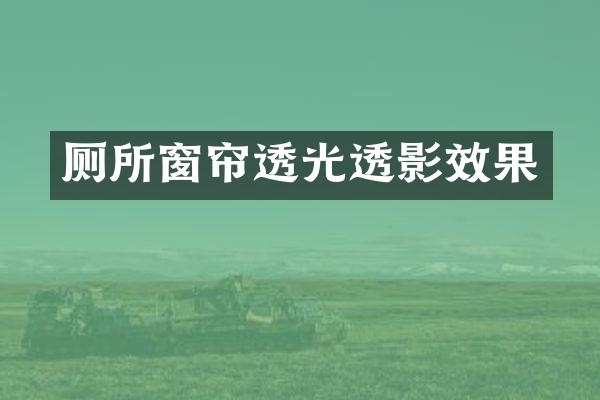 厕所窗帘透光透影效果