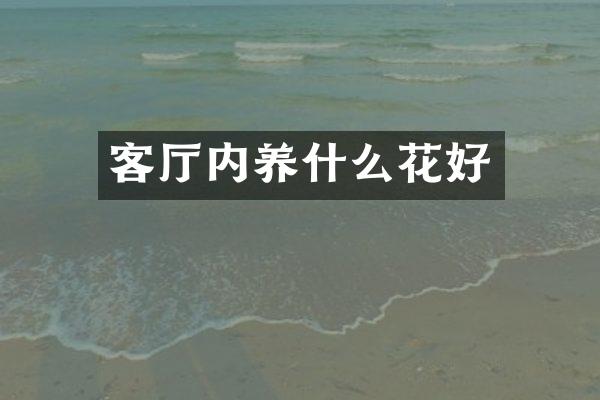 客厅内养什么花好