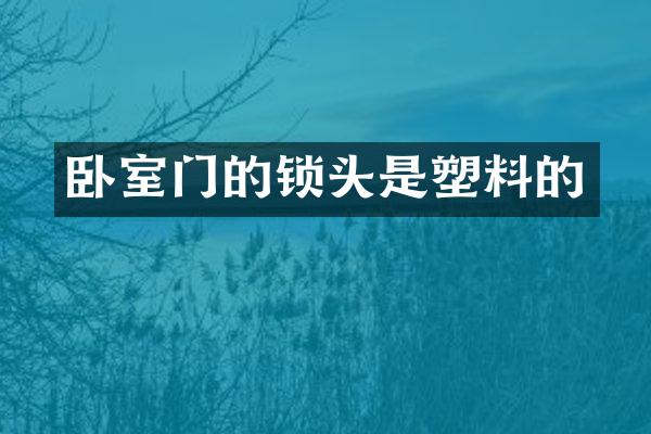 卧室门的锁头是塑料的