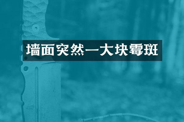 墙面突然一大块霉斑