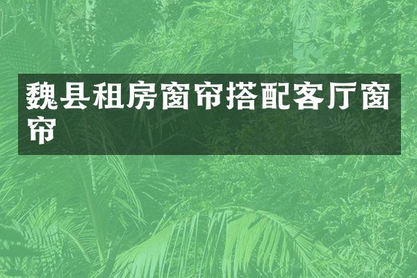 魏县租房窗帘搭配客厅窗帘