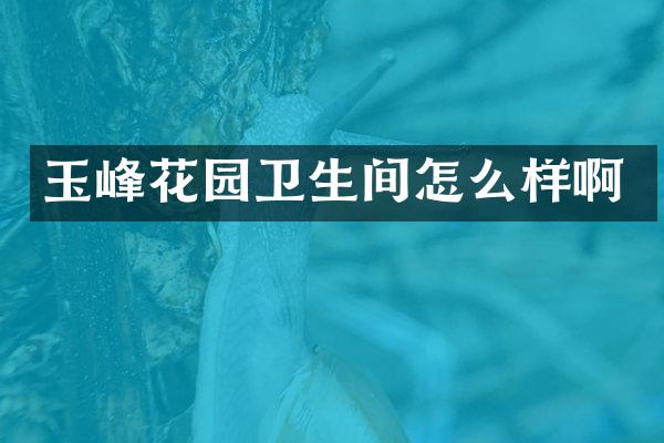 玉峰花园卫生间怎么样啊