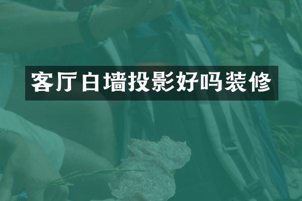 客厅白墙投影好吗装修