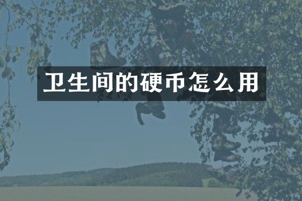 卫生间的硬币怎么用