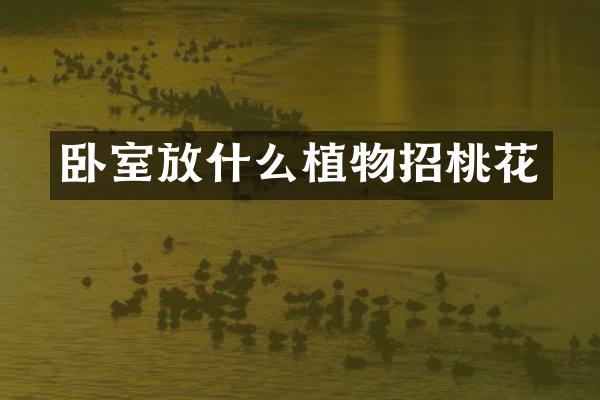 卧室放什么植物招桃花