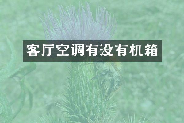 客厅空调有没有机箱