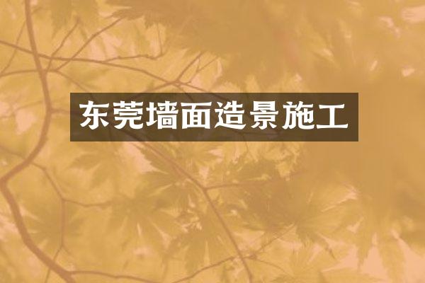 东莞墙面造景施工