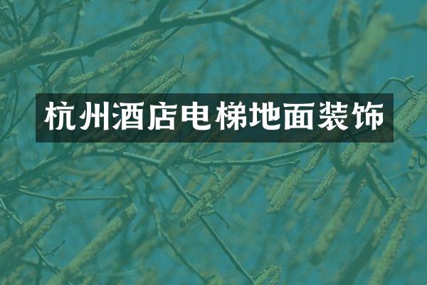 杭州酒店电梯地面装饰