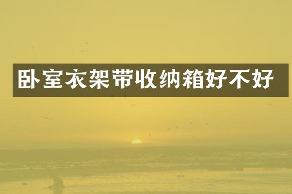卧室衣架带收纳箱好不好