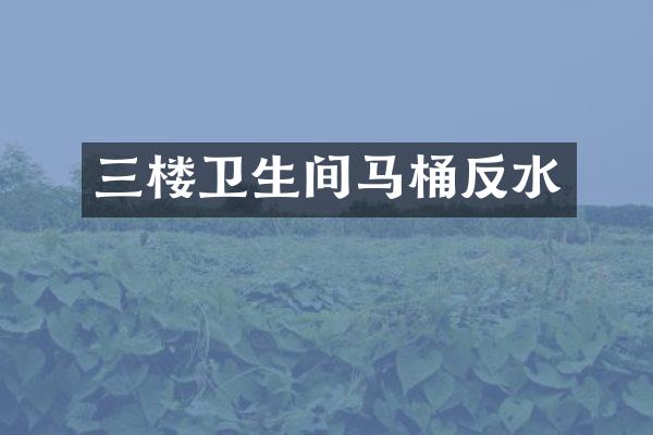 三楼卫生间马桶反水